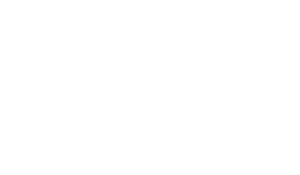 Mega Bank Logo